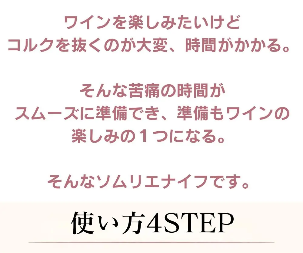 導入